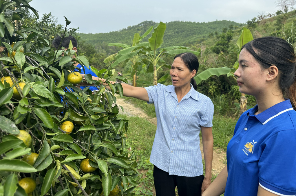 Quảng Ninh: Động lực để hợp tác xã phát triển bền vững Quảng Ninh: Động lực để hợp tác xã phát triển bền vững
