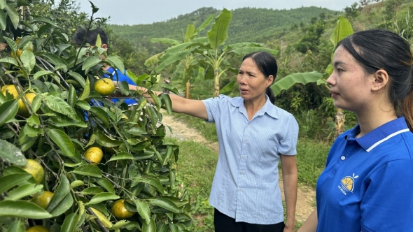 Quảng Ninh: Động lực để hợp tác xã phát triển bền vững