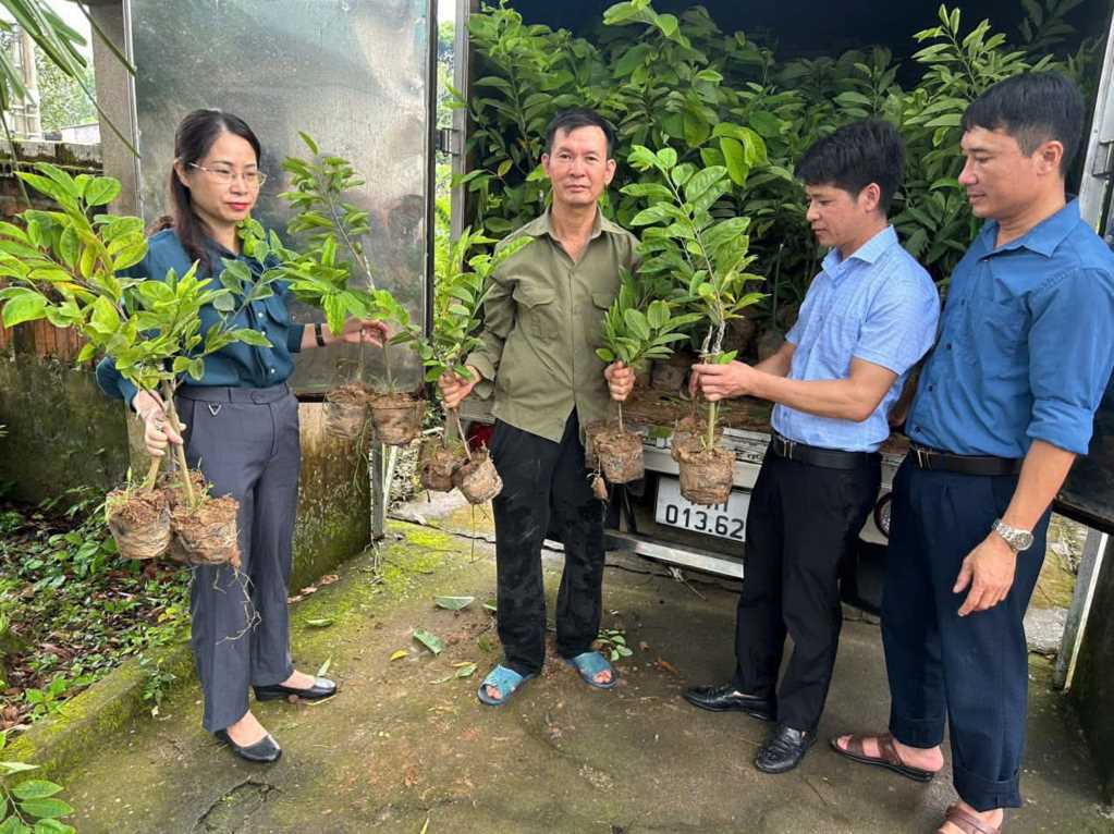 Quảng Ninh: Nông dân Đầm Hà thi đua sản xuất, kinh doanh giỏi Quảng Ninh: Nông dân Đầm Hà thi đua sản xuất, kinh doanh giỏi