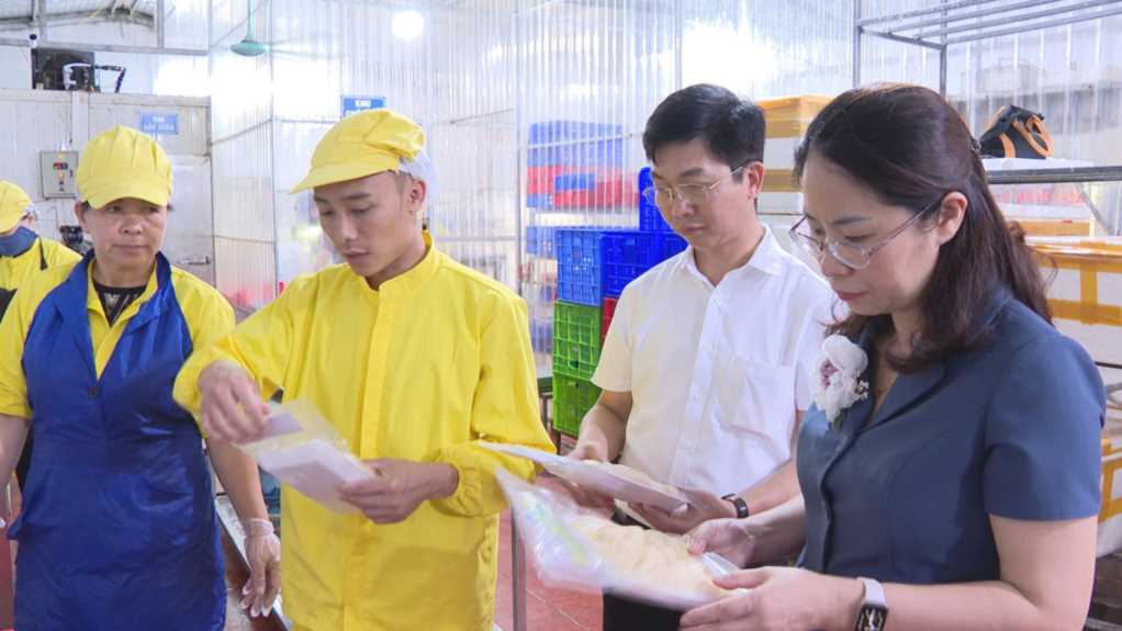 Quảng Ninh: Nông dân Đầm Hà thi đua sản xuất, kinh doanh giỏi Quảng Ninh: Nông dân Đầm Hà thi đua sản xuất, kinh doanh giỏi