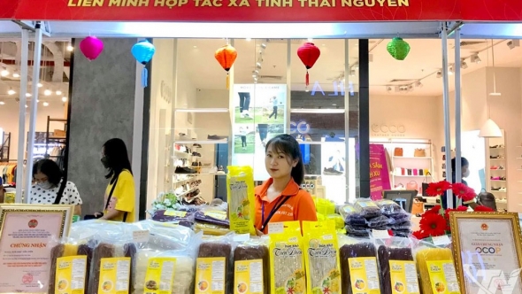 Thái Nguyên: Đổi mới công nghệ, nâng tầm sản phẩm OCOP