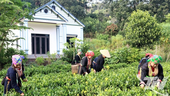 Thái Nguyên: Phú Đình bứt phá từ nông thôn mới nâng cao