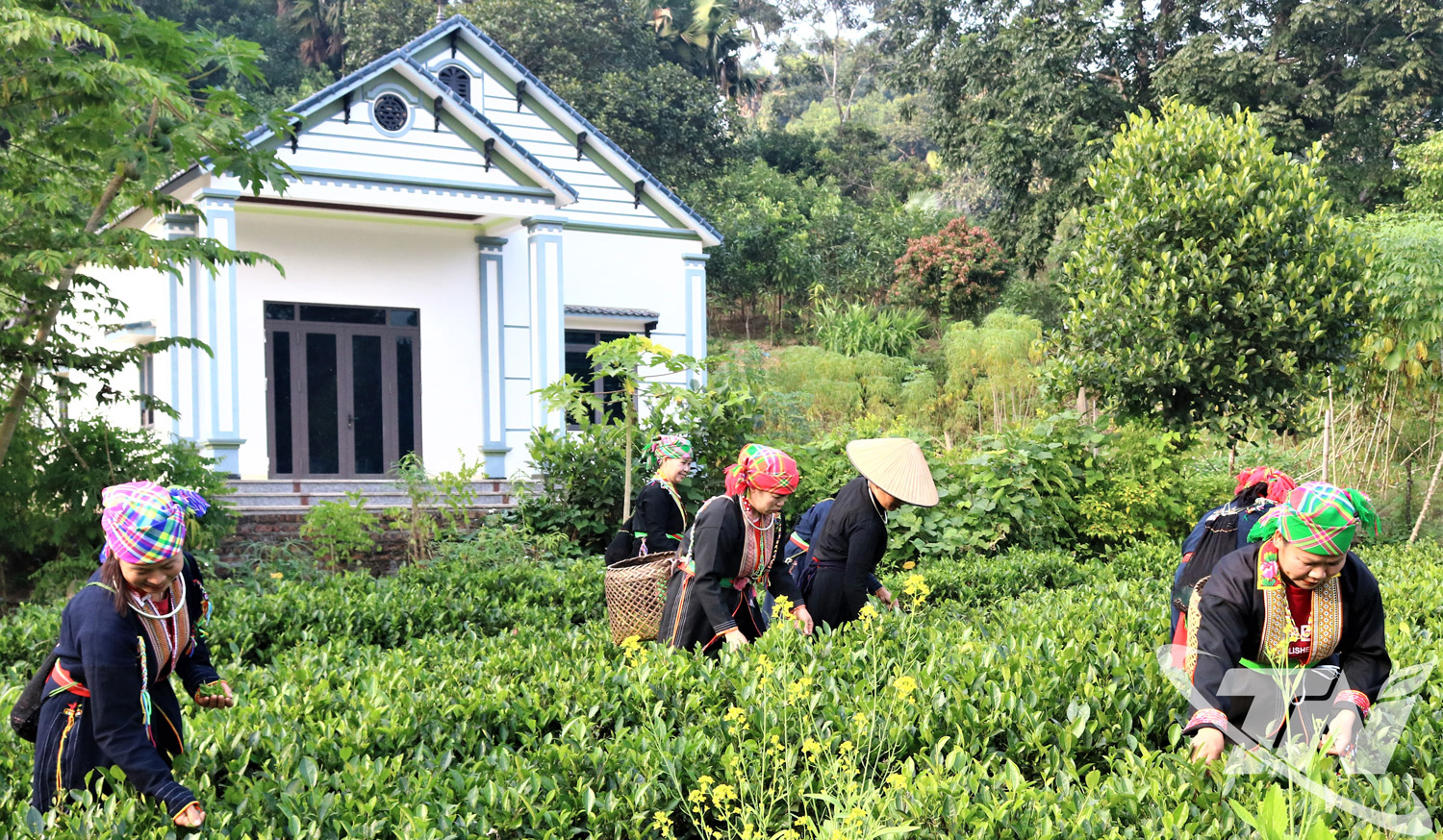 Phú Đình bứt phá từ nông thôn mới nâng cao