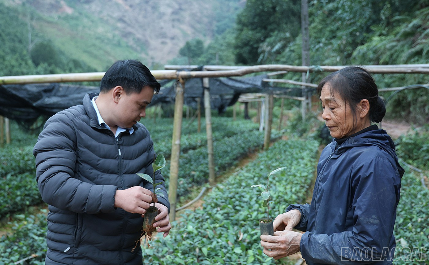 Lào Cai: Đổi thay vùng đất ven sông Chảy Lào Cai: Đổi thay vùng đất ven sông Chảy