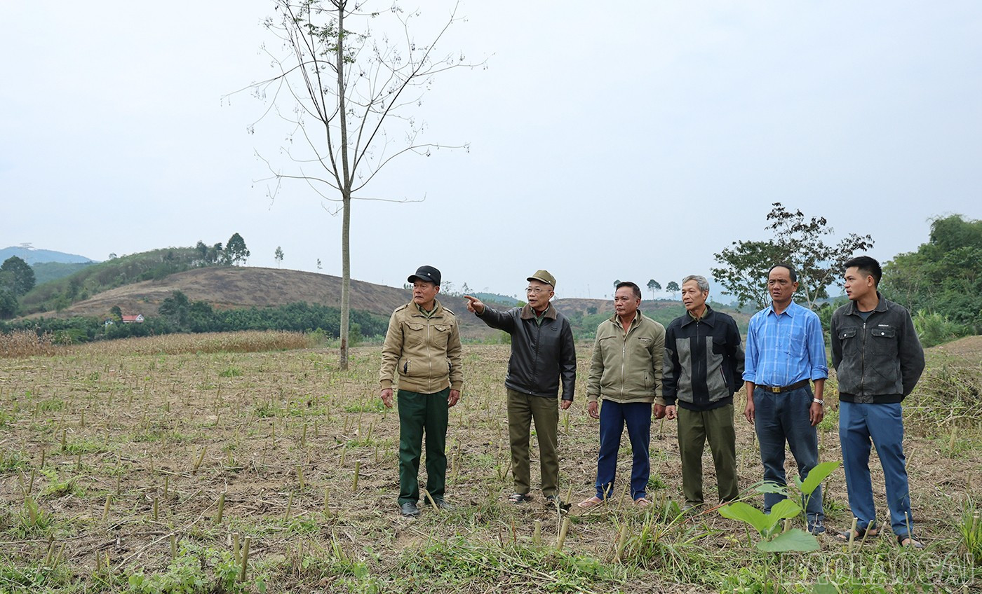 Lào Cai: Đổi thay vùng đất ven sông Chảy Lào Cai: Đổi thay vùng đất ven sông Chảy
