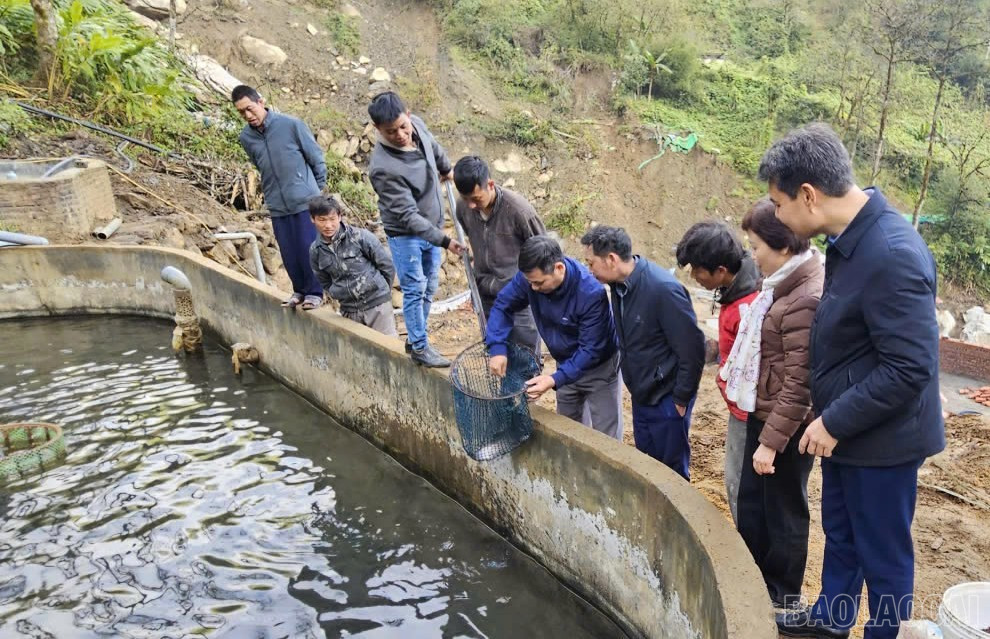 Lào Cai: Hướng đến khuyến nông đa giá trị Lào Cai: Hướng đến khuyến nông đa giá trị