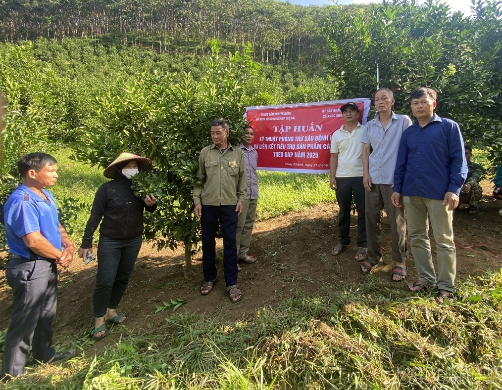 Lào Cai: Hướng đến khuyến nông đa giá trị Lào Cai: Hướng đến khuyến nông đa giá trị