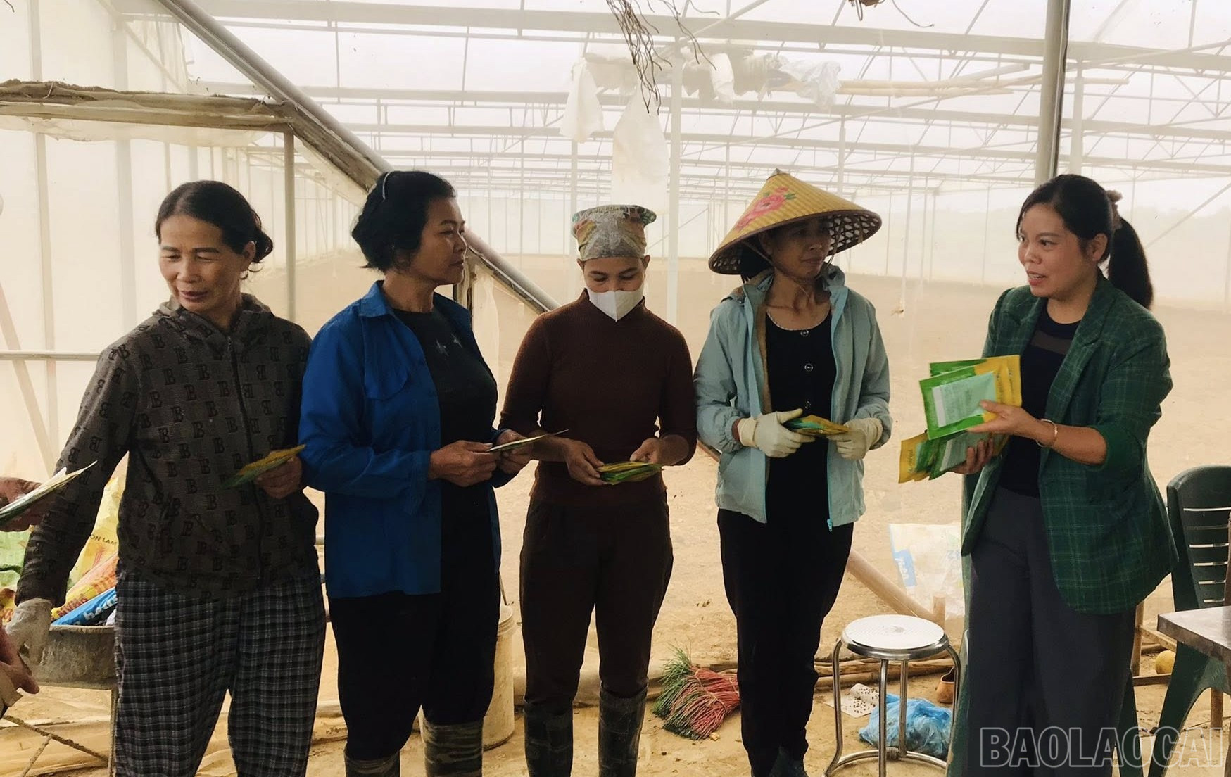 Lào Cai: Hướng đến khuyến nông đa giá trị Lào Cai: Hướng đến khuyến nông đa giá trị