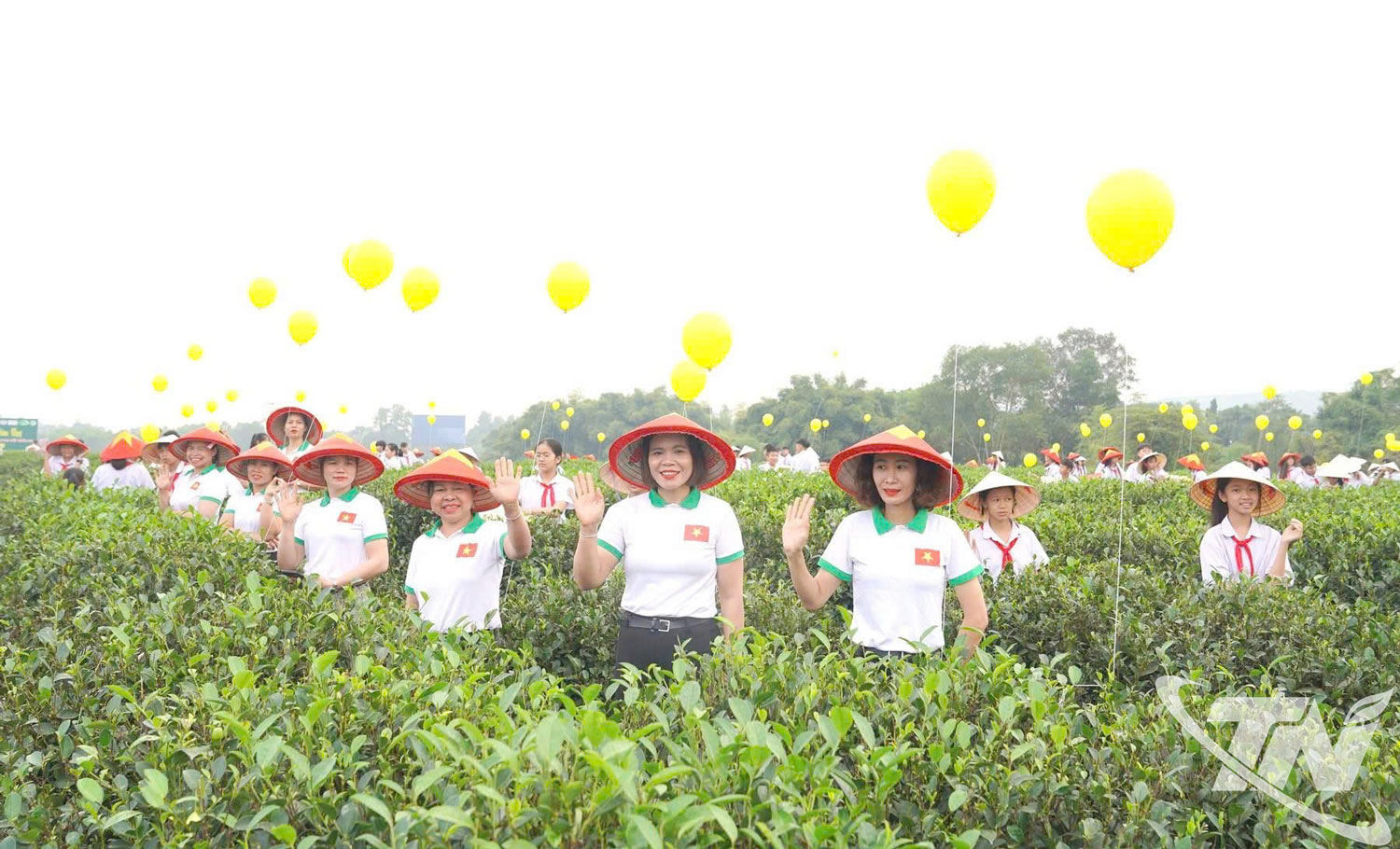 Trà Thái Nguyên lan tỏa bản sắc trong hội nhập