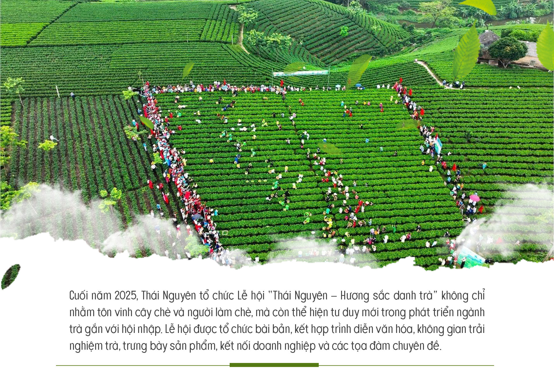 Trà Thái Nguyên lan tỏa bản sắc trong hội nhập