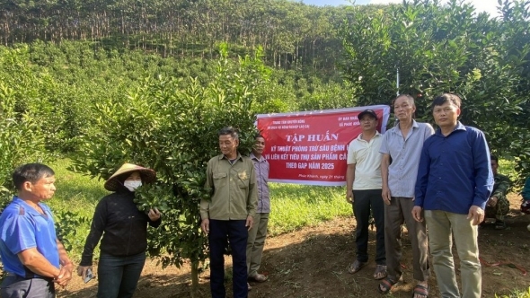 Lào Cai: Hướng đến khuyến nông đa giá trị