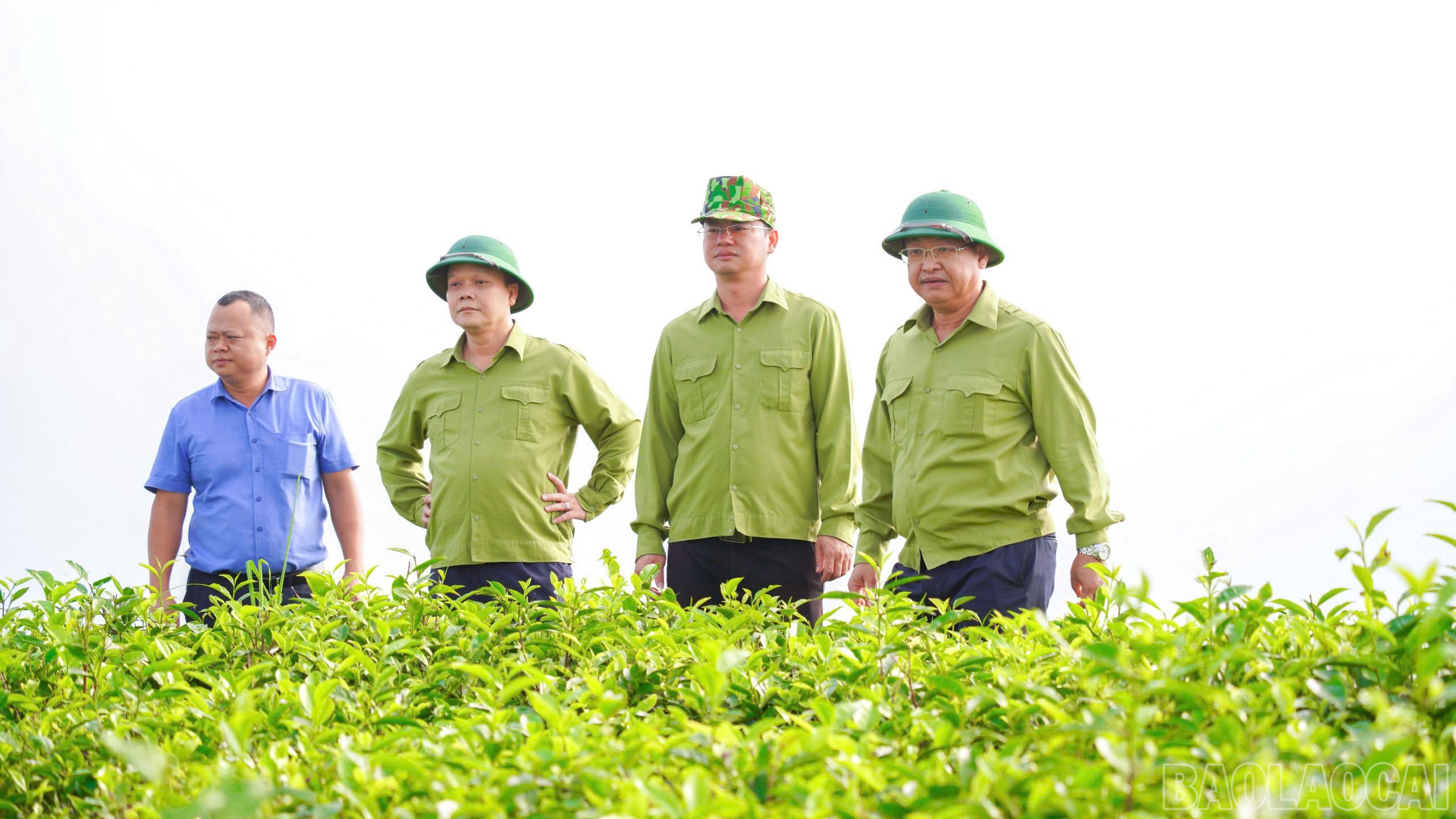 Lào Cai: Phát triển nông nghiệp hàng hóa gắn với chuỗi giá trị - hướng đi bền vững của Mường Khương