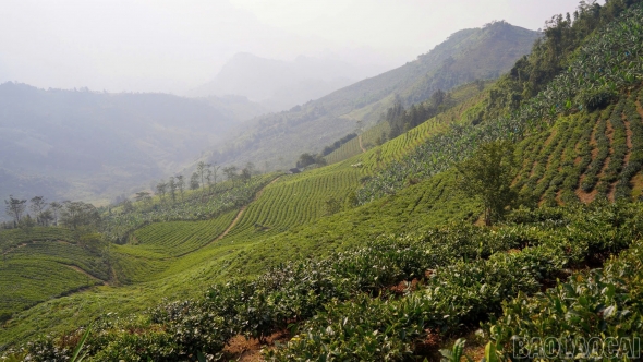 Lào Cai: Phát triển nông nghiệp hàng hóa gắn với chuỗi giá trị - hướng đi bền vững của Mường Khương