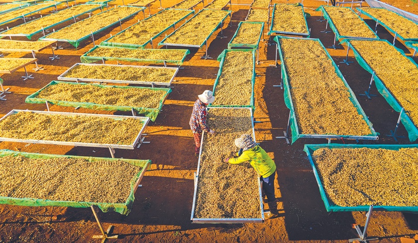 Hướng đến nền nông nghiệp hữu cơ, tuần hoàn ảnh 2