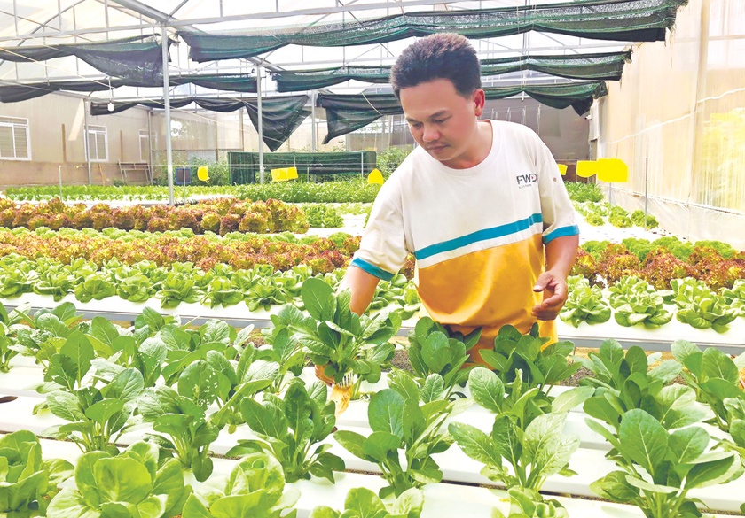 Hướng đến nền nông nghiệp hữu cơ, tuần hoàn ảnh 3