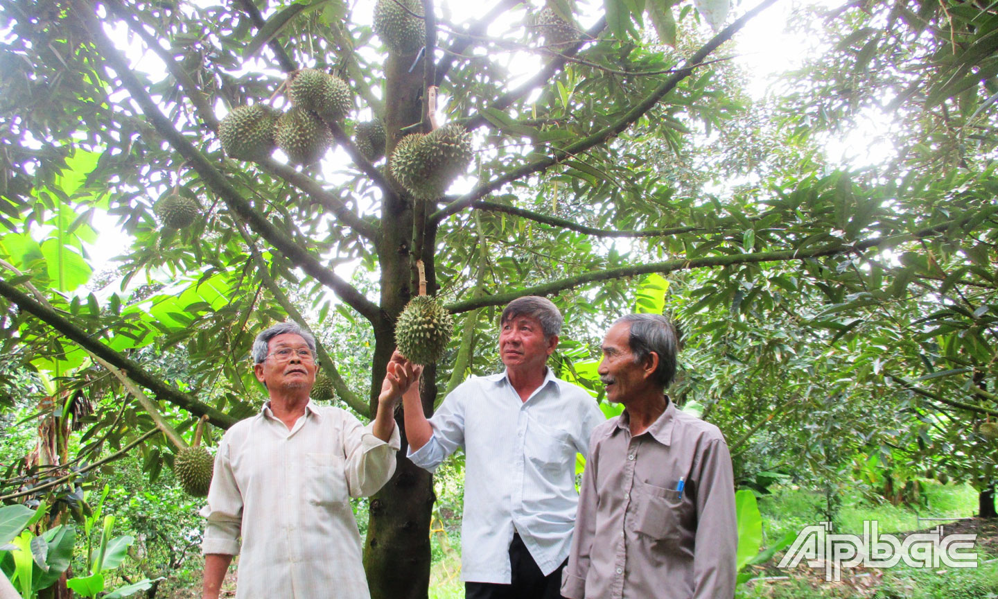 Huyện Cai Lậy: Xây dựng nông thôn mới góp phần nâng cao đời sống người dân