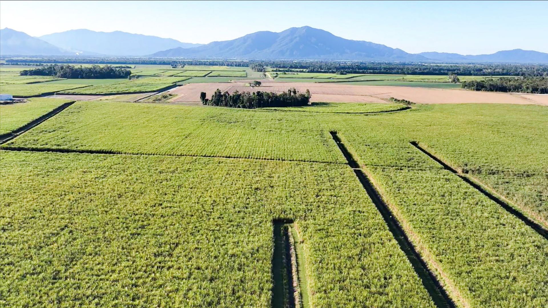 TTC AgriS đầu tư sang Úc - Báo Tây Ninh Online