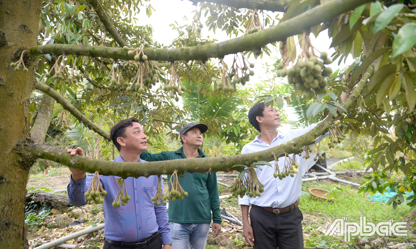 Tiền Giang: Chủ động các phương án ứng phó với hạn, mặn