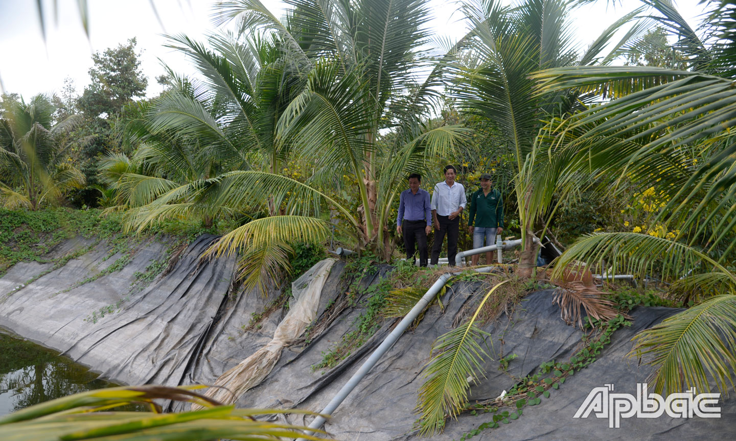 Tiền Giang: Chủ động các phương án ứng phó với hạn, mặn