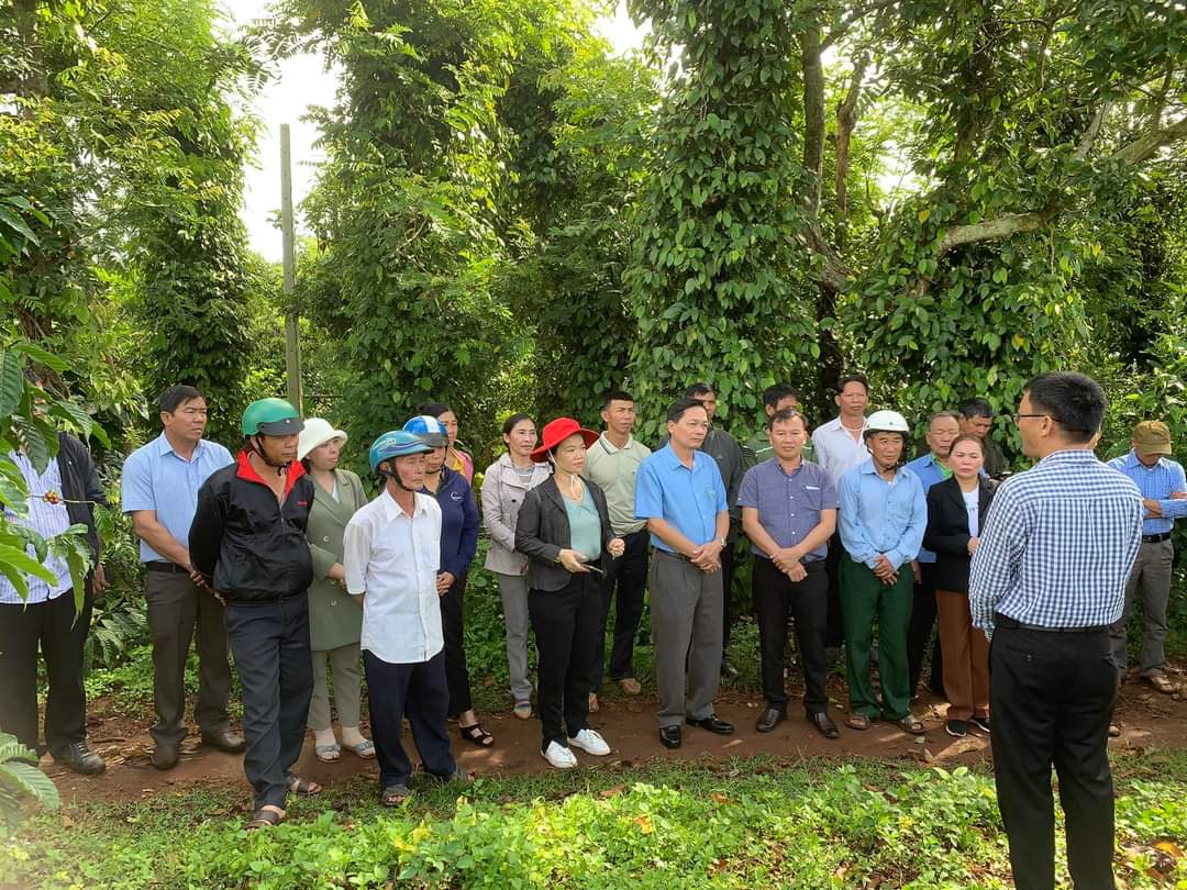 Đắk Lắk: Kết nối nâng cao chuỗi giá trị cà phê Đắk Lắk: Kết nối nâng cao chuỗi giá trị cà phê