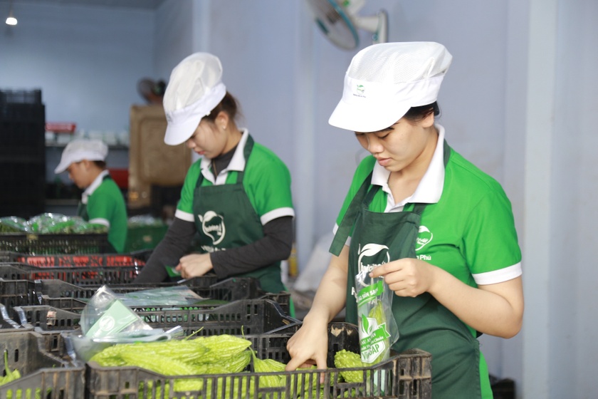 Nhiều triển vọng trong phát triển ngành hàng rau quả  ảnh 2