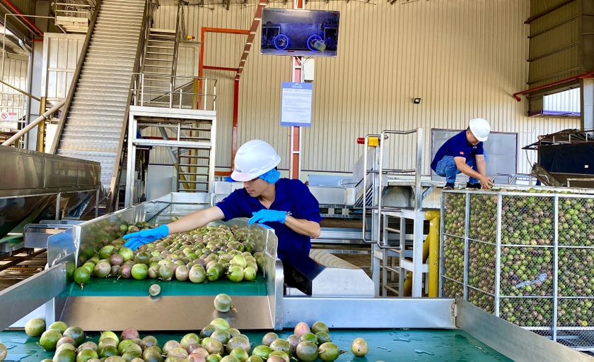 Nỗ lực hoàn thiện, thu hút đầu tư vào các khu-cụm công nghiệp ảnh 2