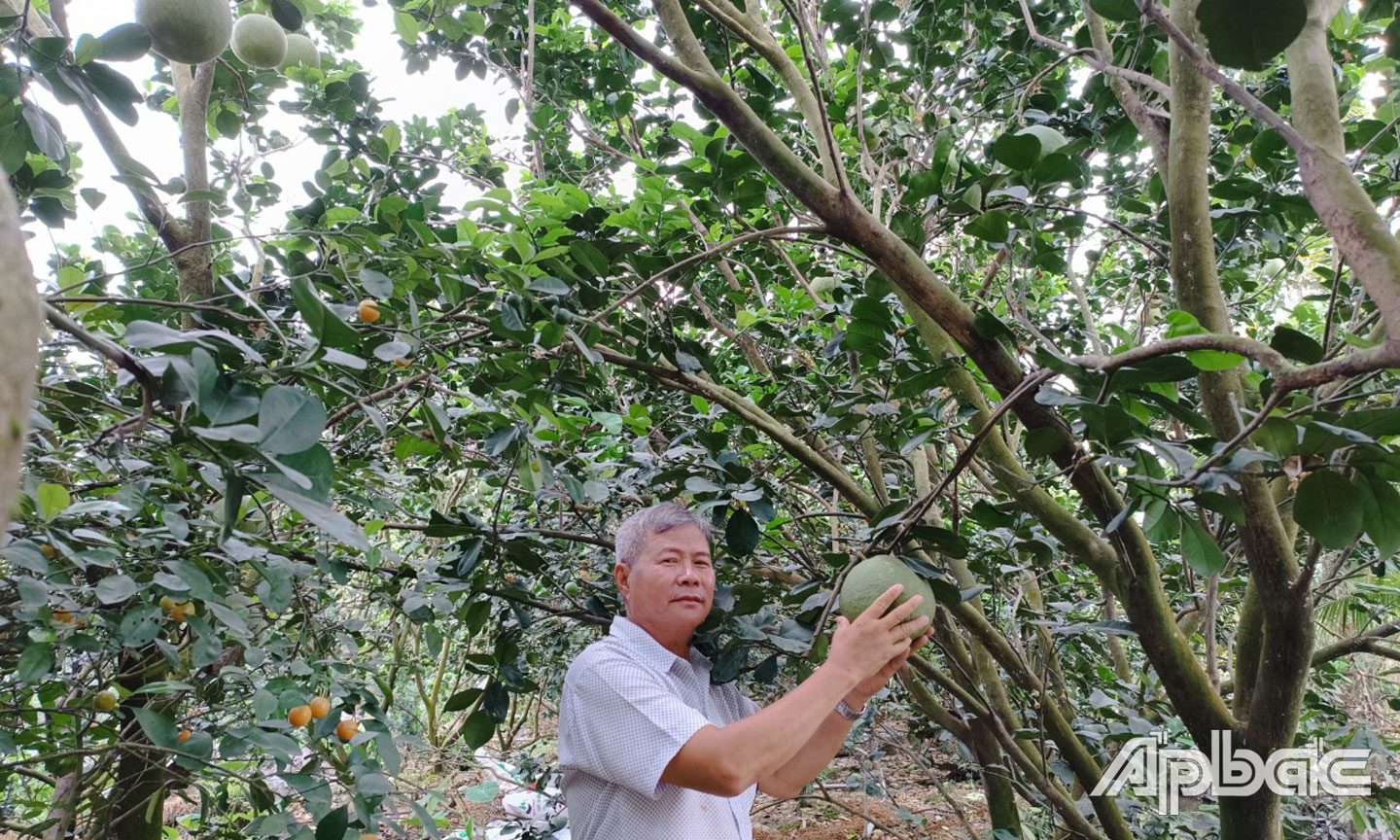 Xã Long Khánh xây dựng nông thôn mới kiểu mẫu Xã Long Khánh xây dựng nông thôn mới kiểu mẫu