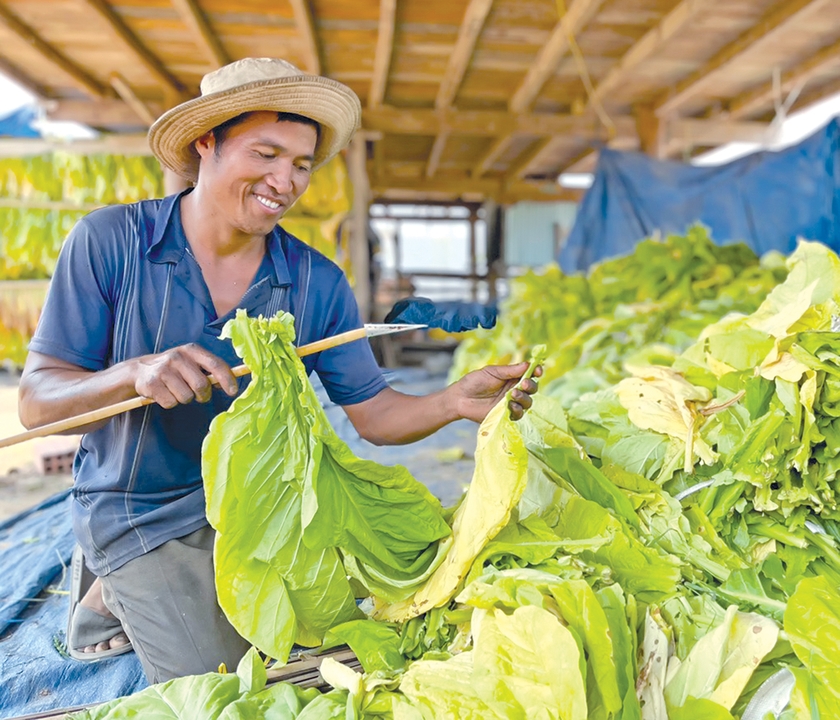 Chuyển về khu tái định cư, gia đình anh Nay Hlinh (buôn Jứ, xã Ia Broăi, huyện Ia Pa) thoát khỏi cảnh sống thấp thỏm trong mối lo ngập lụt. Ảnh: M.N