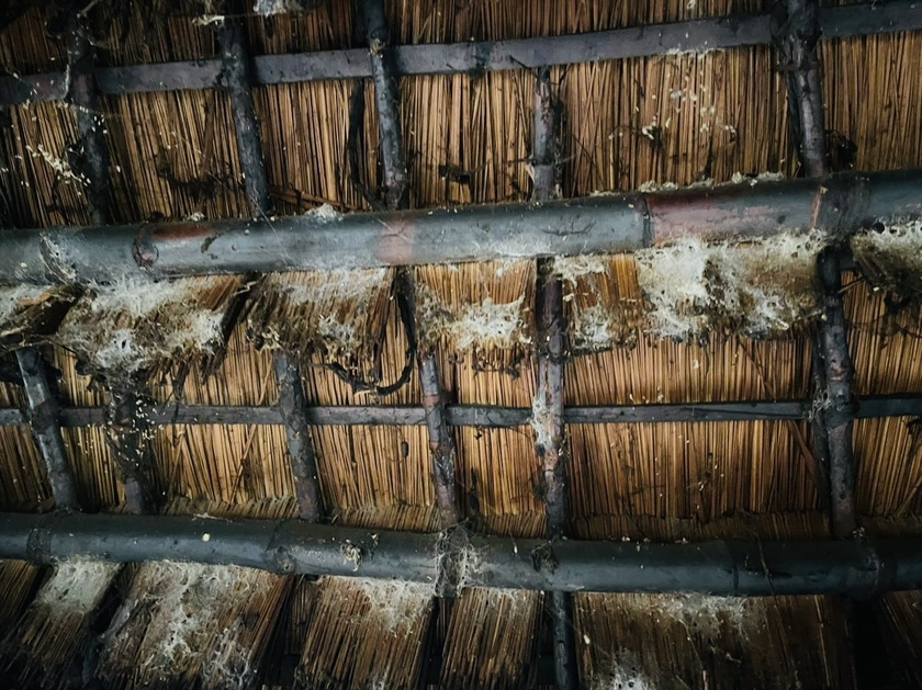 Nhờ có khói bếp, những thanh tre cũng như lớp cỏ tranh lợp mái nhà không bị mối mọt, hư hỏng. Ảnh: Vũ Chi