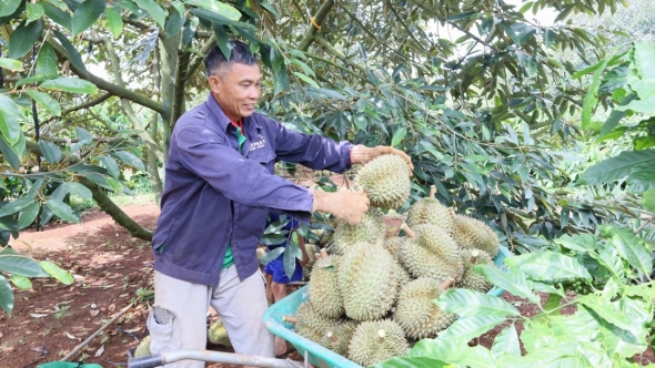 Đắk Lắk: Cơ hội “vàng” cho chuỗi giá trị nông sản