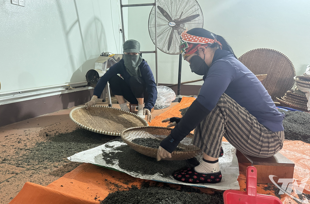 Thái Nguyên: Làm giàu không chỉ cho mình