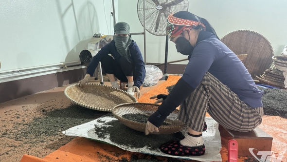 Thái Nguyên: Làm giàu không chỉ cho mình