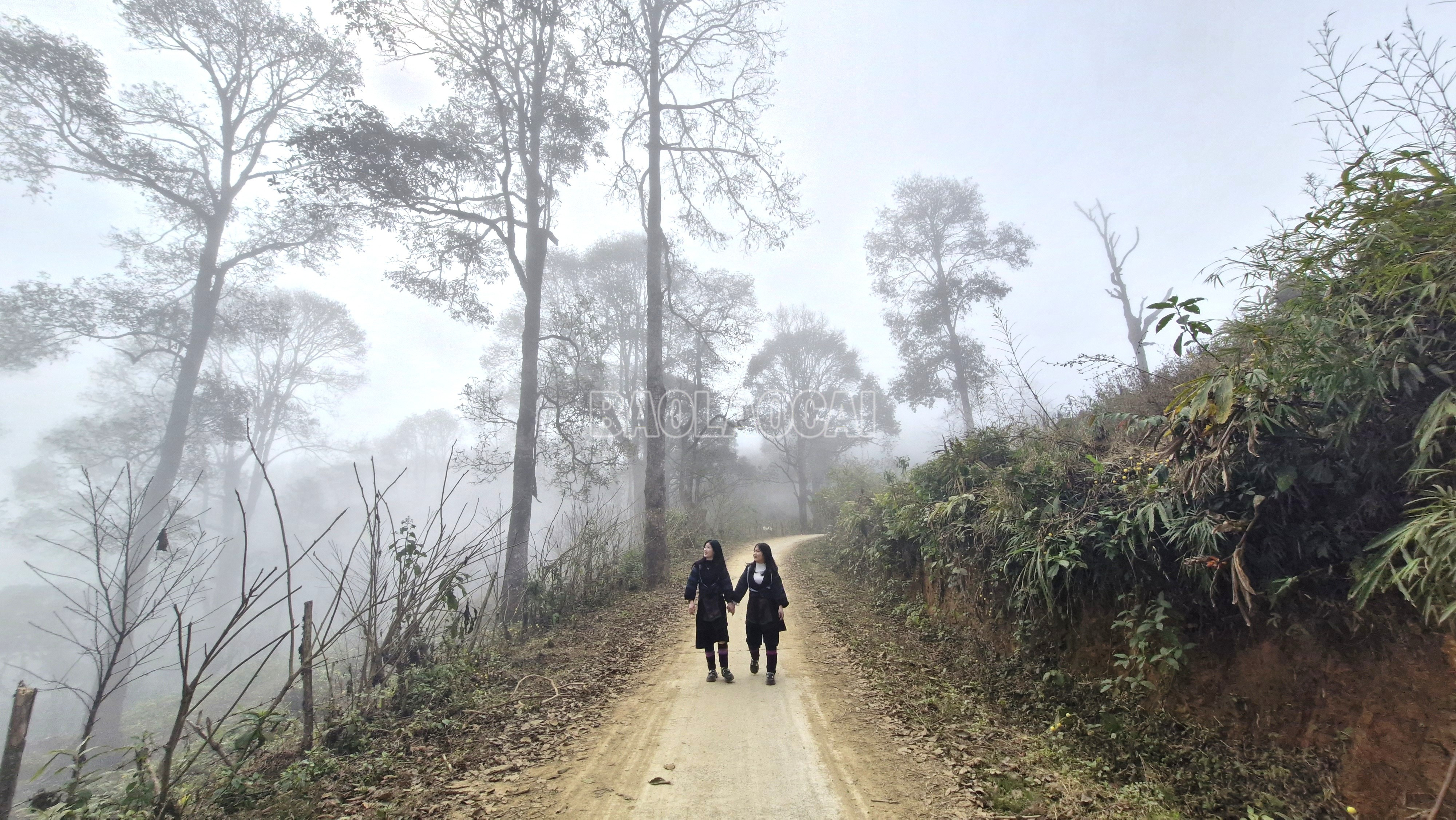 Lào Cai: Nắng ấm Bản Giàng
