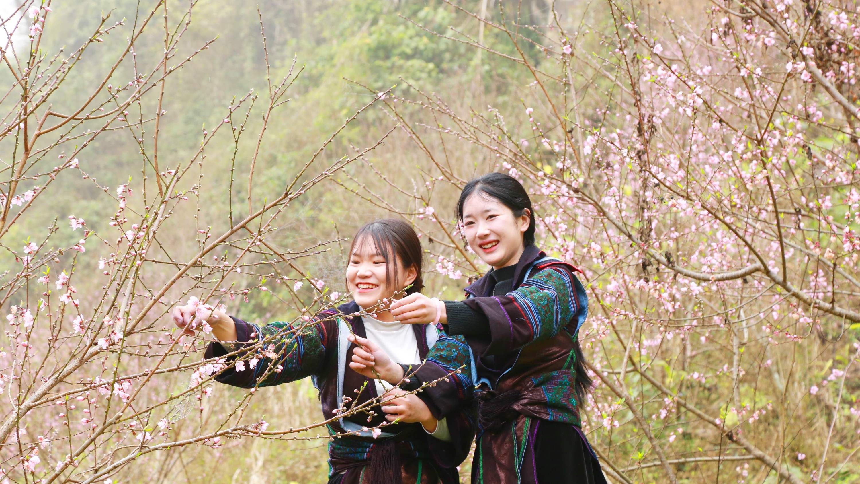 Lào Cai: Nắng ấm Bản Giàng