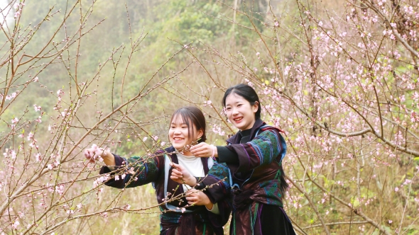 Lào Cai: Nắng ấm Bản Giàng