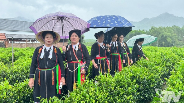 Thái Nguyên: Giữ hồn Soọng cô trên những nương chè