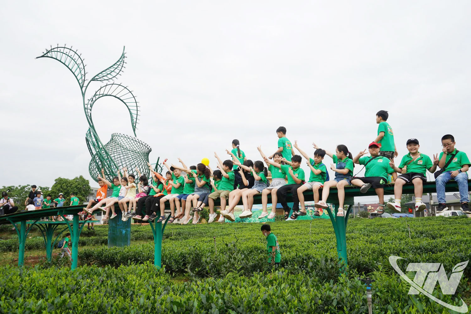 Thái Nguyên: Tiềm năng du lịch trải nghiệm vùng chè