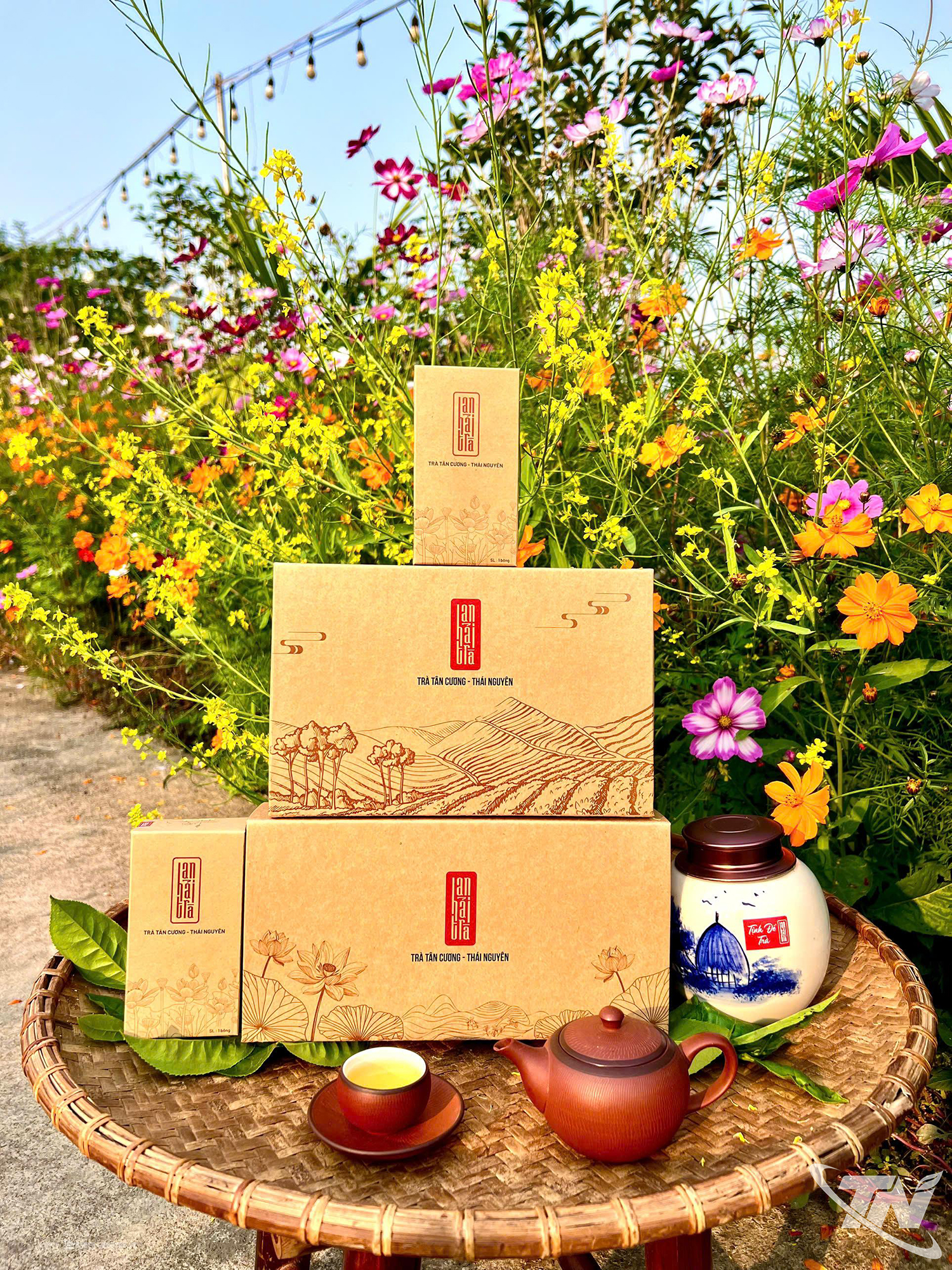 Thái Nguyên: Khi nông dân dùng AI vẽ mùa Xuân