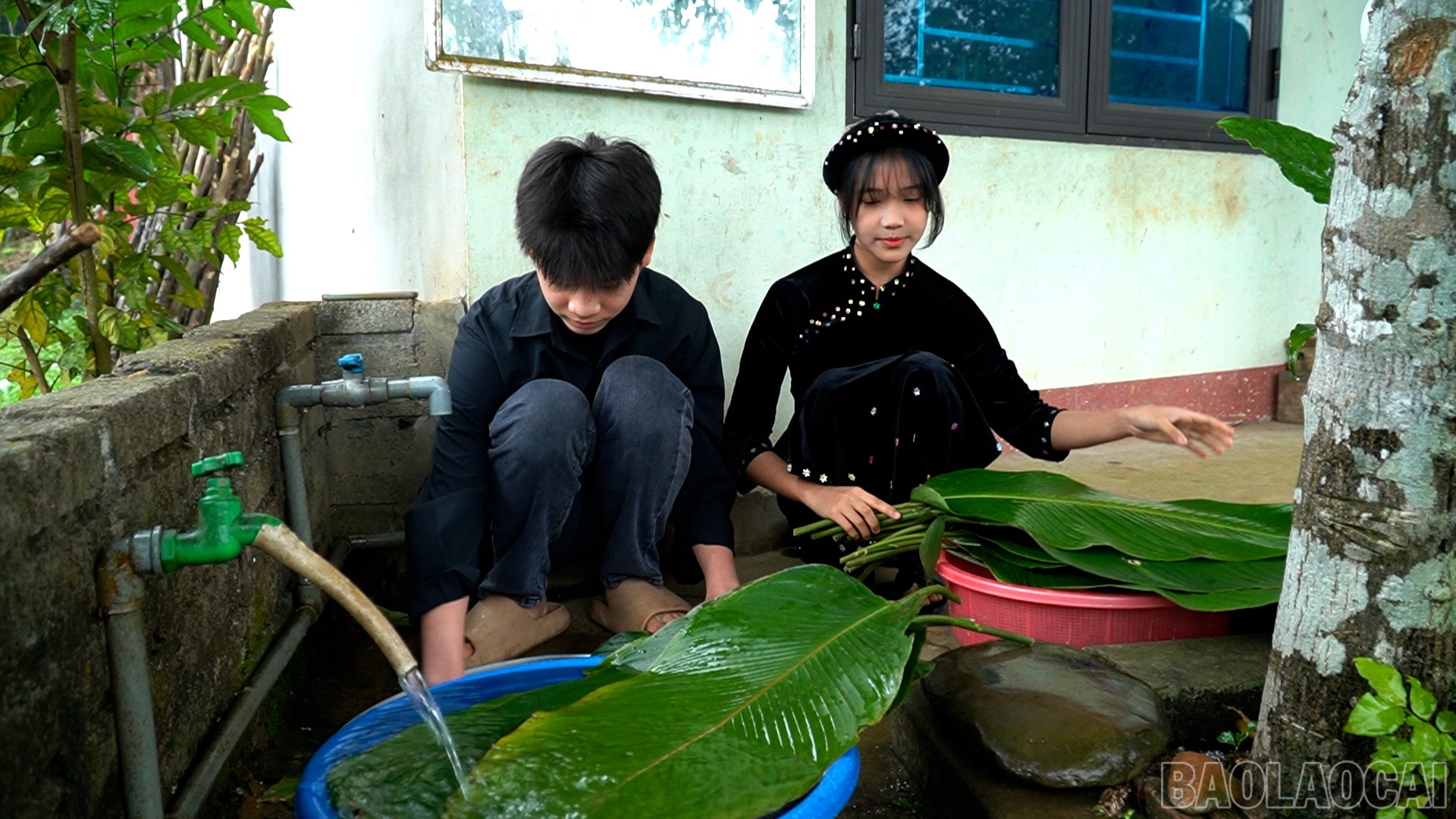 Lào Cai: Giữ hương tết người Tày Hưng Khánh Lào Cai: Giữ hương tết người Tày Hưng Khánh