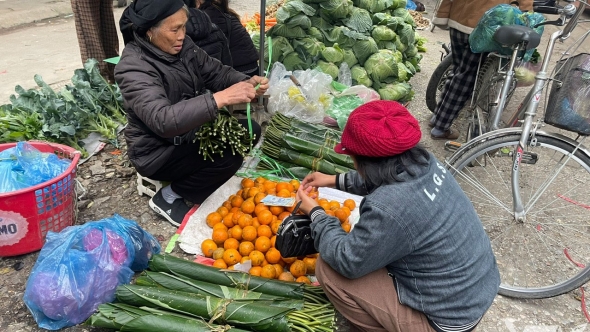 Thái Nguyên: Từ "lộc rừng" đến sản phẩm hàng hóa