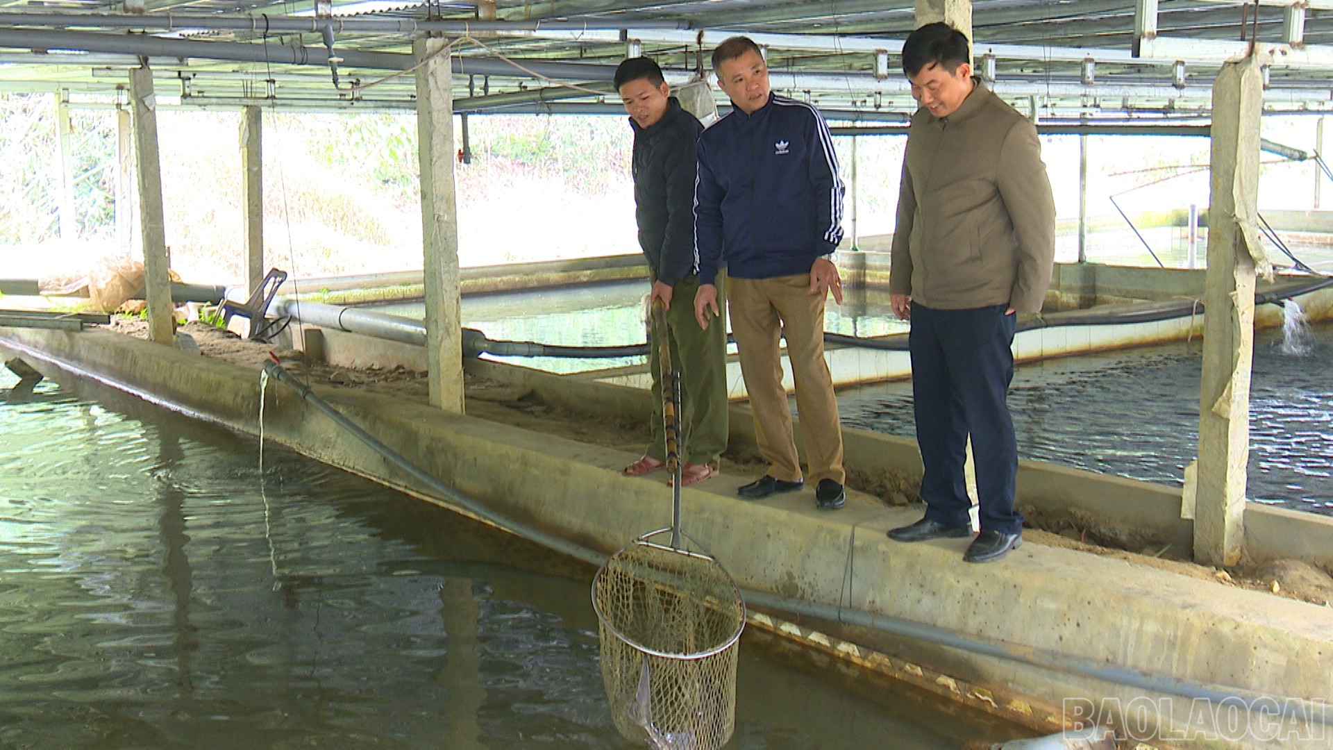 Lào Cai: Xuân về trên quê hương Việt Hồng