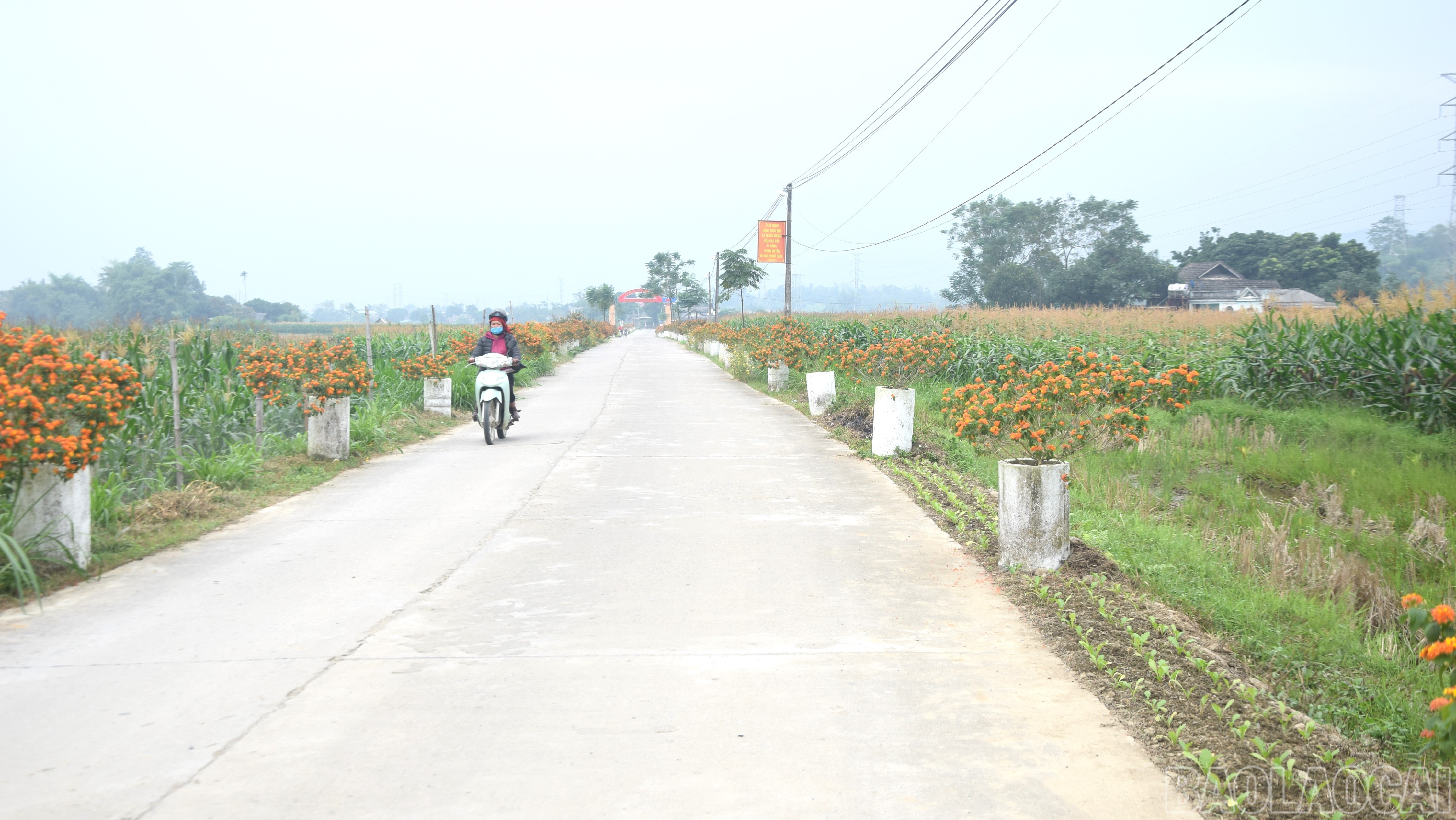 Lào Cai: Khúc ca xuân mừng Đảng
