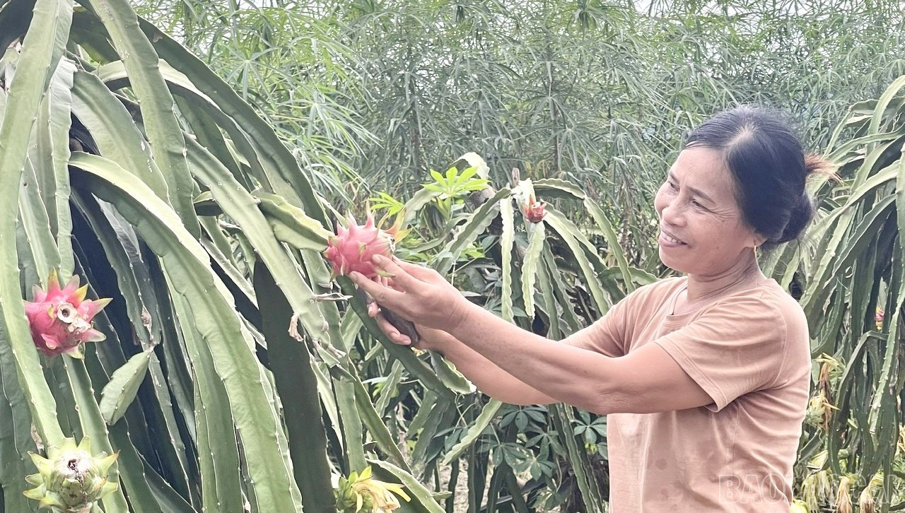 Lào Cai: Khúc ca xuân mừng Đảng
