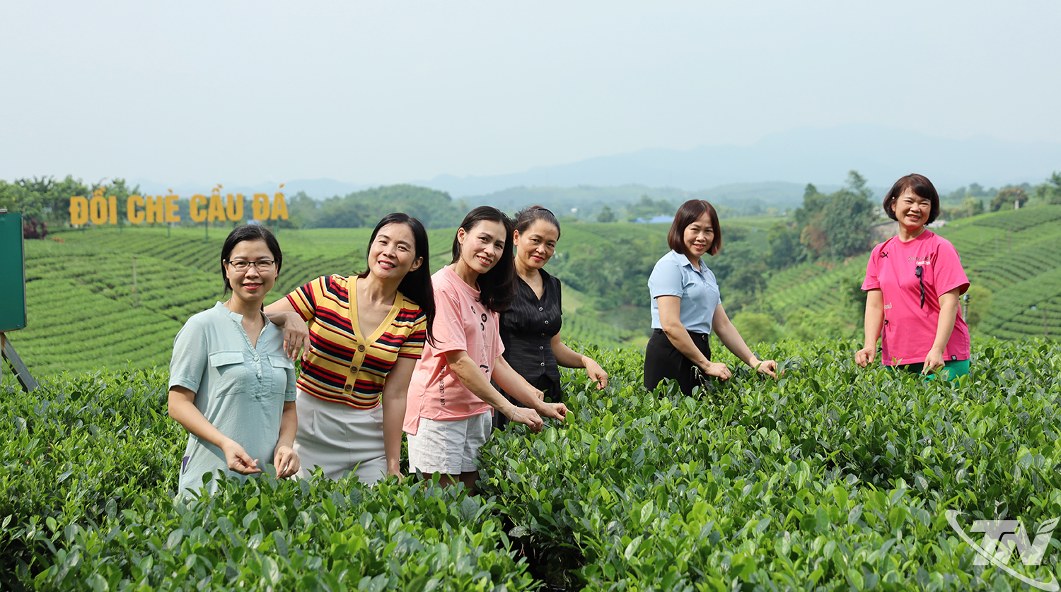 Thái Nguyên: Đánh thức miền xanh xứ trà