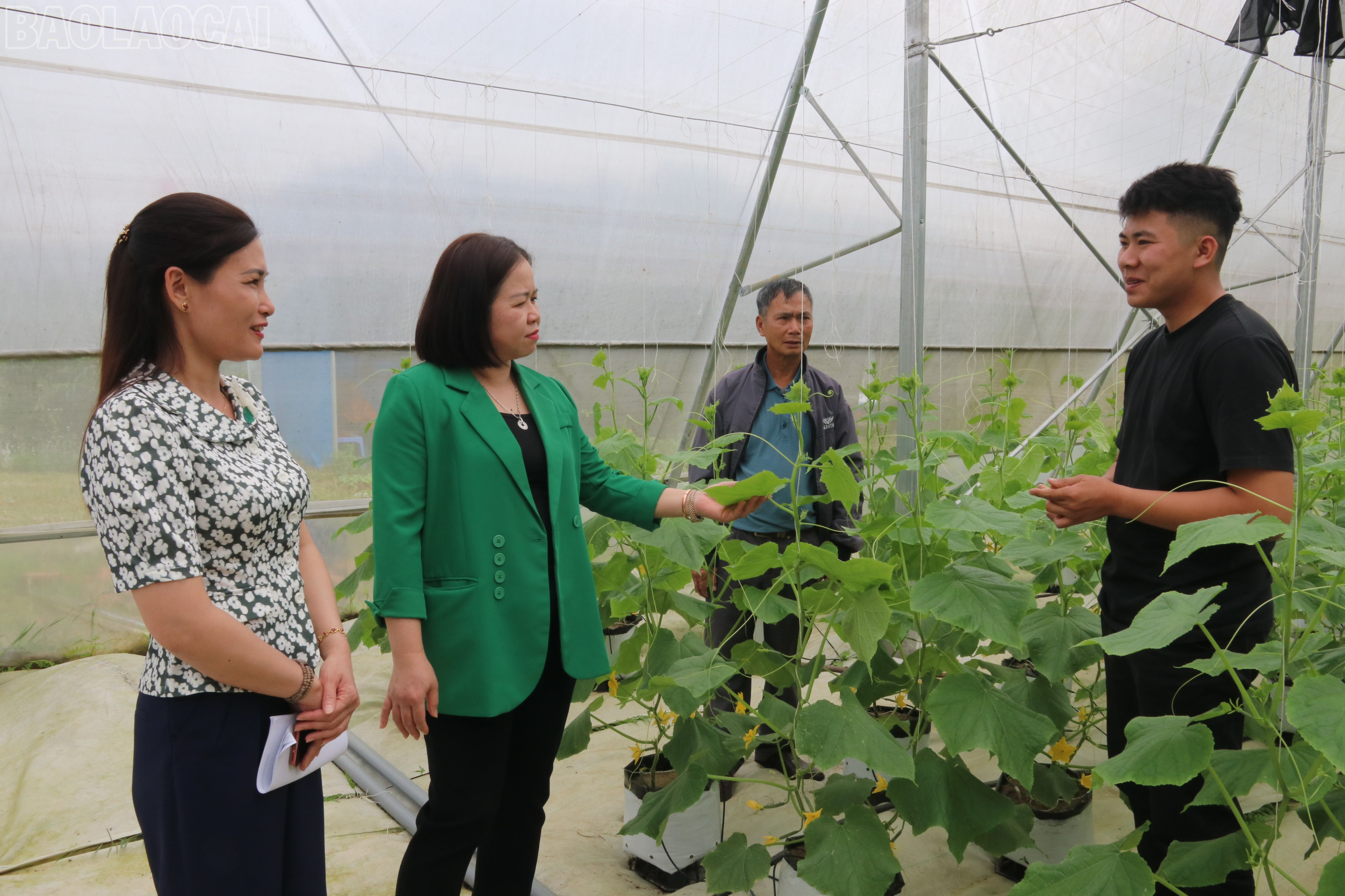 Lào Cai: Văn Chấn phát huy thế mạnh du lịch