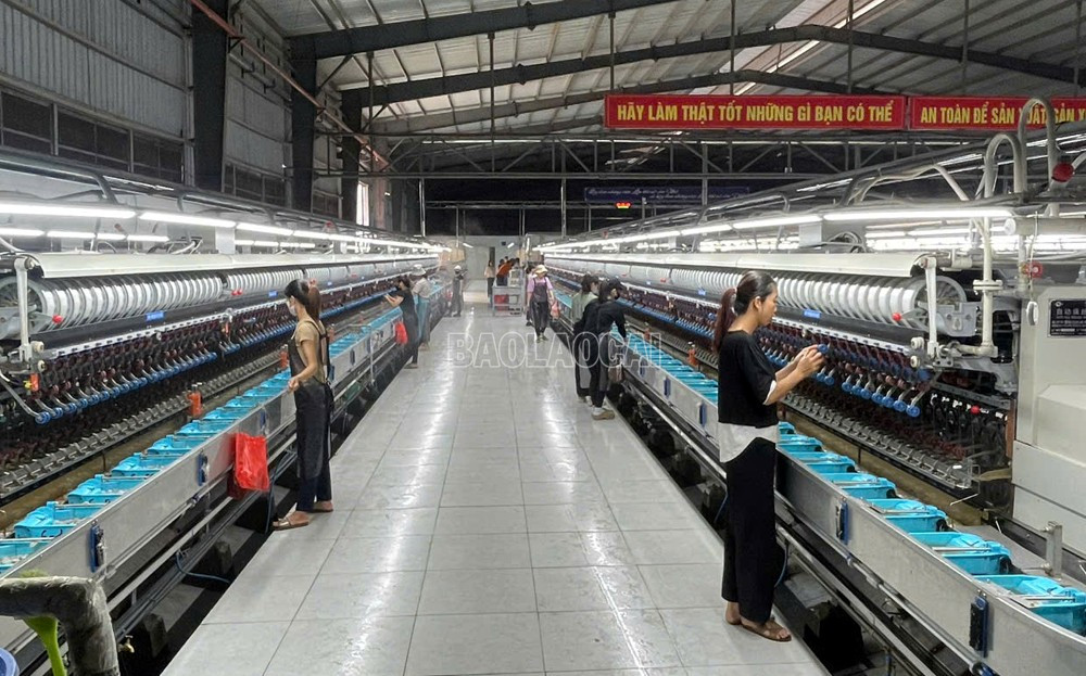 Lào Cai: Gỡ nút thắt chuỗi giá trị nông nghiệp ở Trấn Yên Lào Cai: Gỡ nút thắt chuỗi giá trị nông nghiệp ở Trấn Yên