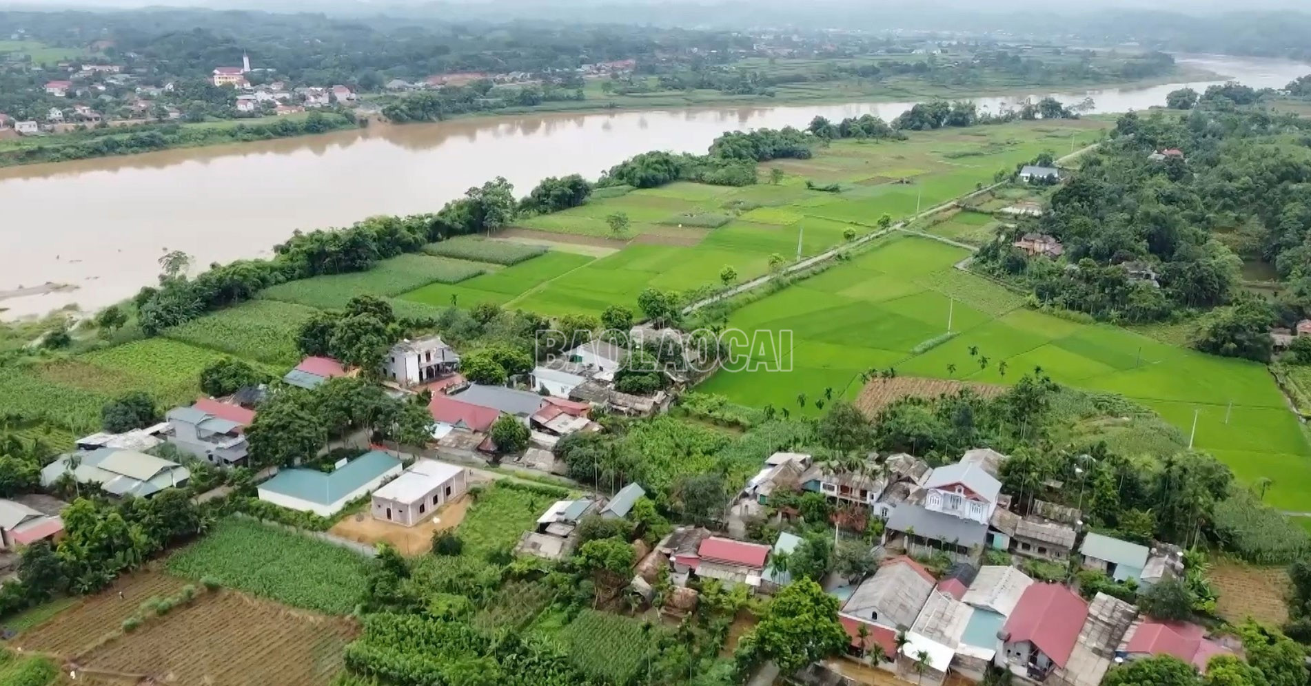 Lào Cai: Gỡ nút thắt chuỗi giá trị nông nghiệp ở Trấn Yên Lào Cai: Gỡ nút thắt chuỗi giá trị nông nghiệp ở Trấn Yên