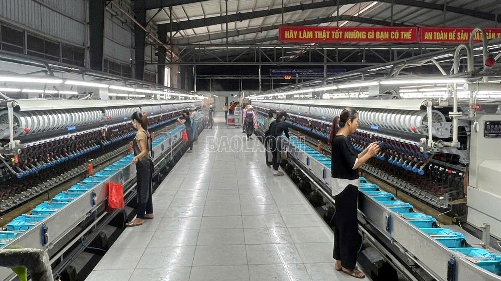 Lào Cai: Gỡ nút thắt chuỗi giá trị nông nghiệp ở Trấn Yên