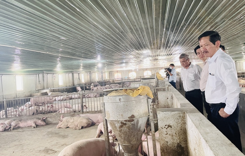 Gia Lai: Đảng ủy Khối các Cơ quan và Doanh nghiệp tỉnh: Đồng hành cùng doanh nghiệp Khởi động chương trình “Đồng hành cùng doanh nghiệp” ảnh 2