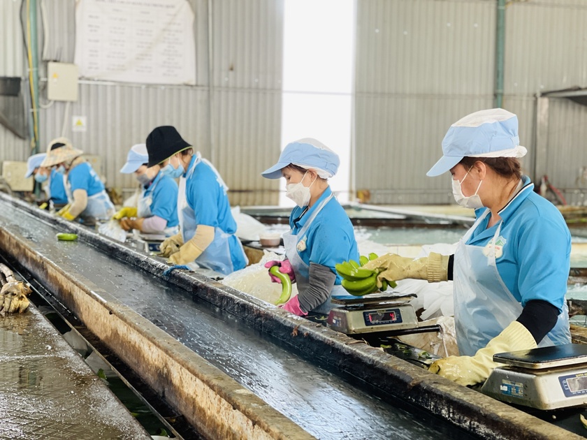 Gia Lai: Đảng ủy Khối các Cơ quan và Doanh nghiệp tỉnh: Đồng hành cùng doanh nghiệp Khởi động chương trình “Đồng hành cùng doanh nghiệp” ảnh 3